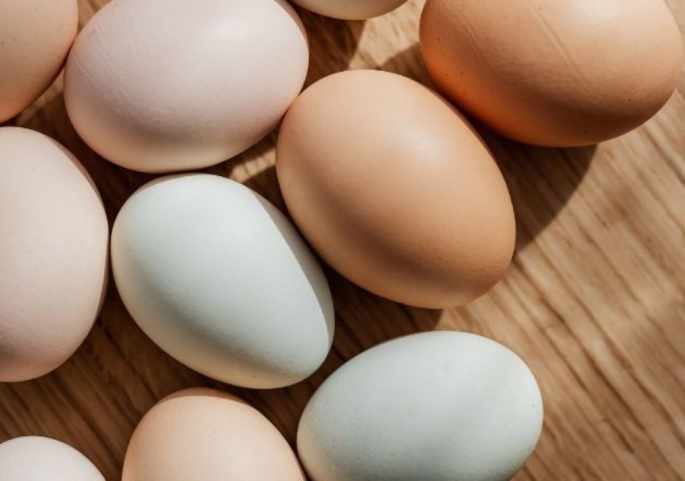 http://multi-colored%20eggs%20on%20a%20table