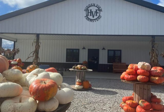 Store front with tables full of pumpkins